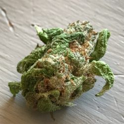 Crouching tiger hidden alien strain