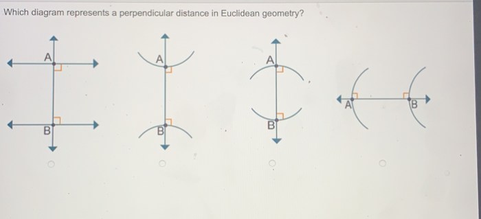 Which diagram represents a perpendicular distance in euclidean geometry