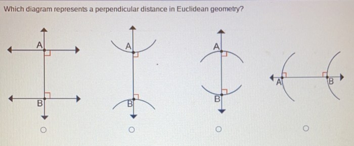 Which diagram represents a perpendicular distance in euclidean geometry