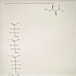 Projection fischer correct он chegg transcribed