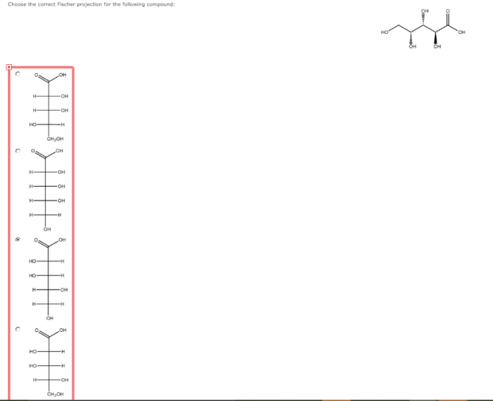 Choose the correct fischer projection for the following compound